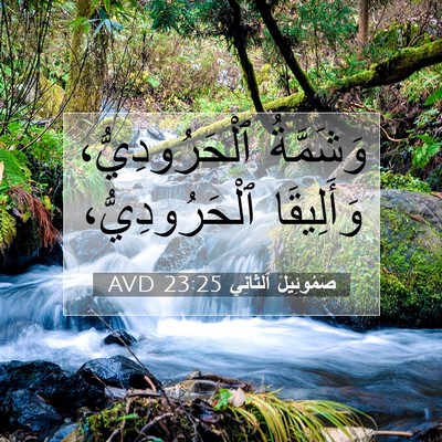 Picture 07 - صَمُوئِيلَ ٱلثَّانِي 23:25 AVD - وَشَمَّةُ ٱلْحَرُودِيُّ، - Bible Verse Picture