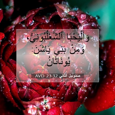Picture 07 - صَمُوئِيلَ ٱلثَّانِي 23:32 AVD - وَأَلْيَحْبَا - Bible Verse Picture