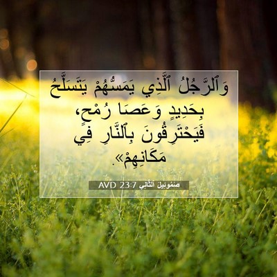 Picture 07 - صَمُوئِيلَ ٱلثَّانِي 23:7 AVD - وَٱلرَّجُلُ ٱلَّذِي - Bible Verse Picture