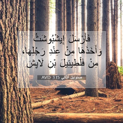 Picture 07 - صَمُوئِيلَ ٱلثَّانِي 3:15 AVD - فَأَرْسَلَ إِيشْبُوشَثُ - Bible Verse Picture