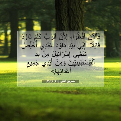 Picture 07 - صَمُوئِيلَ ٱلثَّانِي 3:18 AVD - فَٱلْآنَ ٱفْعَلُوا، - Bible Verse Picture
