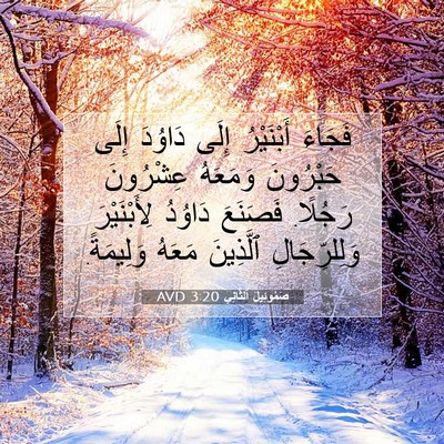 Picture 07 - صَمُوئِيلَ ٱلثَّانِي 3:20 AVD - فَجَاءَ أَبْنَيْرُ إِلَى - Bible Verse Picture