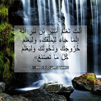 Picture 07 - صَمُوئِيلَ ٱلثَّانِي 3:25 AVD - أَنْتَ تَعْلَمُ - Bible Verse Picture
