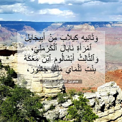 Picture 07 - صَمُوئِيلَ ٱلثَّانِي 3:3 AVD - وَثَانِيهِ كِيلآبَ مِنْ - Bible Verse Picture