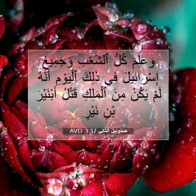 Picture 07 - صَمُوئِيلَ ٱلثَّانِي 3:37 AVD - وَعَلِمَ كُلُّ ٱلشَّعْبِ - Bible Verse Picture