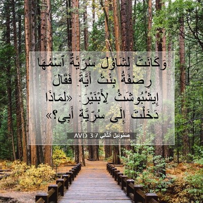 Picture 07 - صَمُوئِيلَ ٱلثَّانِي 3:7 AVD - وَكَانَتْ لِشَاوُلَ - Bible Verse Picture
