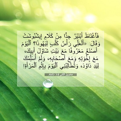 Picture 07 - صَمُوئِيلَ ٱلثَّانِي 3:8 AVD - فَٱغْتَاظَ أَبْنَيْرُ - Bible Verse Picture