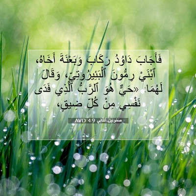 Picture 07 - صَمُوئِيلَ ٱلثَّانِي 4:9 AVD - فَأَجَابَ دَاوُدُ رَكَابَ - Bible Verse Picture
