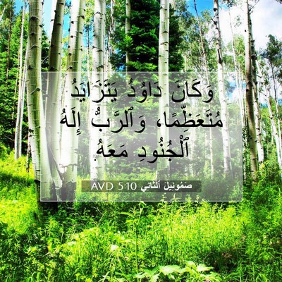 Picture 07 - صَمُوئِيلَ ٱلثَّانِي 5:10 AVD - وَكَانَ دَاوُدُ - Bible Verse Picture