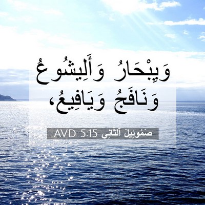 Picture 07 - صَمُوئِيلَ ٱلثَّانِي 5:15 AVD - وَيِبْحَارُ وَأَلِيشُوعُ - Bible Verse Picture