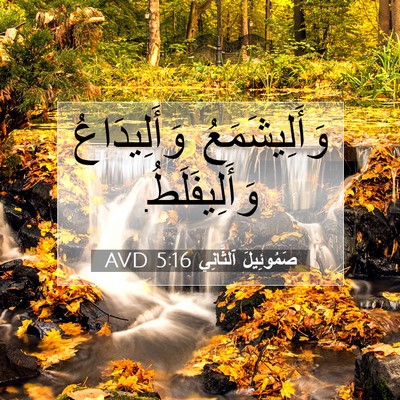 Picture 07 - صَمُوئِيلَ ٱلثَّانِي 5:16 AVD - وَأَلِيشَمَعُ - Bible Verse Picture