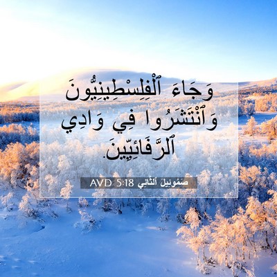 Picture 07 - صَمُوئِيلَ ٱلثَّانِي 5:18 AVD - وَجَاءَ - Bible Verse Picture