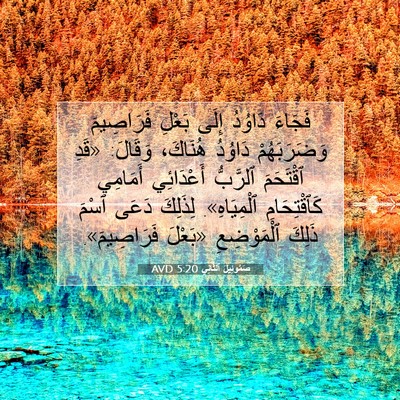 Picture 07 - صَمُوئِيلَ ٱلثَّانِي 5:20 AVD - فَجَاءَ دَاوُدُ إِلَى - Bible Verse Picture