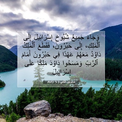 Picture 07 - صَمُوئِيلَ ٱلثَّانِي 5:3 AVD - وَجَاءَ جَمِيعُ شُيُوخِ - Bible Verse Picture