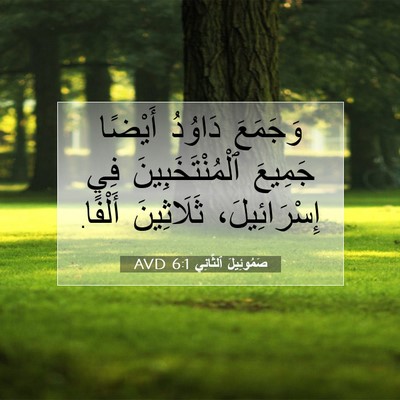 Picture 07 - صَمُوئِيلَ ٱلثَّانِي 6:1 AVD - وَجَمَعَ دَاوُدُ أَيْضًا - Bible Verse Picture