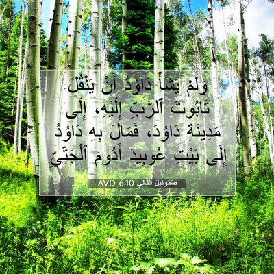 Picture 07 - صَمُوئِيلَ ٱلثَّانِي 6:10 AVD - وَلَمْ يَشَأْ دَاوُدُ أَنْ - Bible Verse Picture