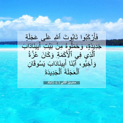 Picture 07 - صَمُوئِيلَ ٱلثَّانِي 6:3 AVD - فَأَرْكَبُوا تَابُوتَ - Bible Verse Picture