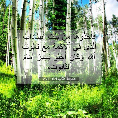 Picture 07 - صَمُوئِيلَ ٱلثَّانِي 6:4 AVD - فَأَخَذُوهَا مِنْ بَيْتِ - Bible Verse Picture