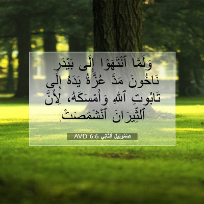 Picture 07 - صَمُوئِيلَ ٱلثَّانِي 6:6 AVD - وَلَمَّا ٱنْتَهَوْا إِلَى - Bible Verse Picture