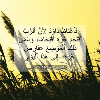 Picture 07 - صَمُوئِيلَ ٱلثَّانِي 6:8 AVD - فَٱغْتَاظَ دَاوُدُ - Bible Verse Picture
