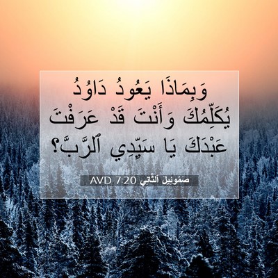 Picture 07 - صَمُوئِيلَ ٱلثَّانِي 7:20 AVD - وَبِمَاذَا يَعُودُ - Bible Verse Picture