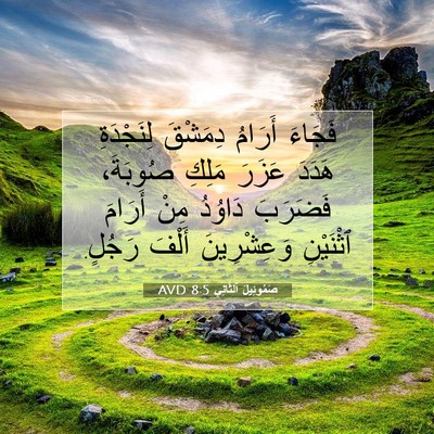 Picture 07 - صَمُوئِيلَ ٱلثَّانِي 8:5 AVD - فَجَاءَ أَرَامُ دِمَشْقَ - Bible Verse Picture