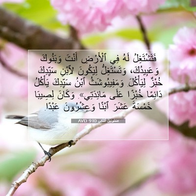 Picture 07 - صَمُوئِيلَ ٱلثَّانِي 9:10 AVD - فَتَشْتَغِلُ لَهُ فِي - Bible Verse Picture