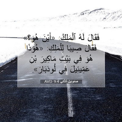 Picture 07 - صَمُوئِيلَ ٱلثَّانِي 9:4 AVD - فَقَالَ لَهُ ٱلْمَلِكُ: - Bible Verse Picture