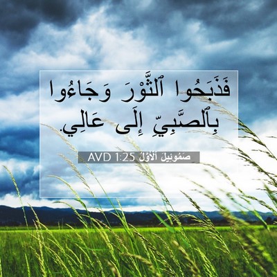 Picture 07 - صَمُوئِيلَ ٱلْأَوَّلُ 1:25 AVD - فَذَبَحُوا ٱلثَّوْرَ - Bible Verse Picture