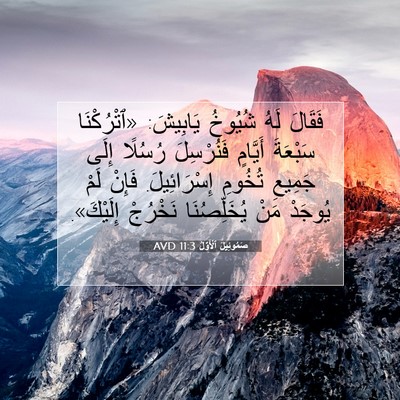 Picture 07 - صَمُوئِيلَ ٱلْأَوَّلُ 11:3 AVD - فَقَالَ لَهُ شُيُوخُ - Bible Verse Picture