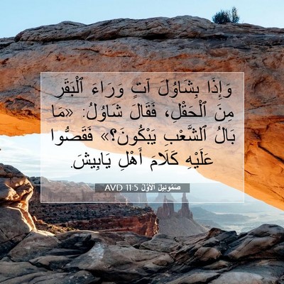 Picture 07 - صَمُوئِيلَ ٱلْأَوَّلُ 11:5 AVD - وَإِذَا بِشَاوُلَ آتٍ - Bible Verse Picture