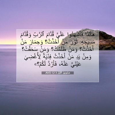Picture 07 - صَمُوئِيلَ ٱلْأَوَّلُ 12:3 AVD - هَأَنَذَا فَٱشْهَدُوا - Bible Verse Picture