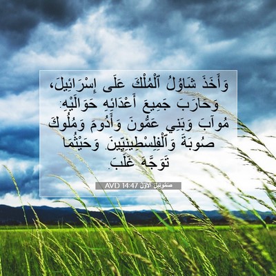 Picture 07 - صَمُوئِيلَ ٱلْأَوَّلُ 14:47 AVD - وَأَخَذَ شَاوُلُ - Bible Verse Picture
