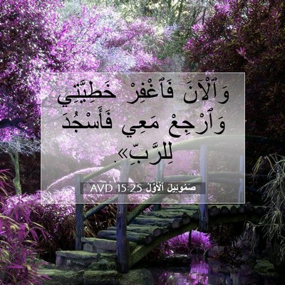 Picture 07 - صَمُوئِيلَ ٱلْأَوَّلُ 15:25 AVD - وَٱلْآنَ فَٱغْفِرْ - Bible Verse Picture