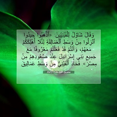 Picture 07 - صَمُوئِيلَ ٱلْأَوَّلُ 15:6 AVD - وَقَالَ شَاوُلُ - Bible Verse Picture