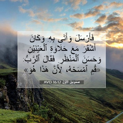 Picture 07 - صَمُوئِيلَ ٱلْأَوَّلُ 16:12 AVD - فَأَرْسَلَ وَأَتَى بِهِ. - Bible Verse Picture