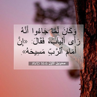 Picture 07 - صَمُوئِيلَ ٱلْأَوَّلُ 16:6 AVD - وَكَانَ لَمَّا جَاءُوا - Bible Verse Picture