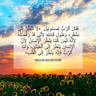 Picture 07 - صَمُوئِيلَ ٱلْأَوَّلُ 16:7 AVD - فَقَالَ ٱلرَّبُّ - Bible Verse Picture
