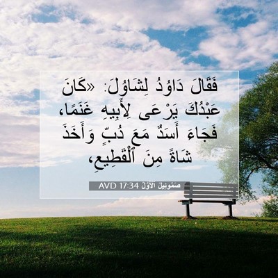 Picture 07 - صَمُوئِيلَ ٱلْأَوَّلُ 17:34 AVD - فَقَالَ دَاوُدُ لِشَاوُلَ: - Bible Verse Picture