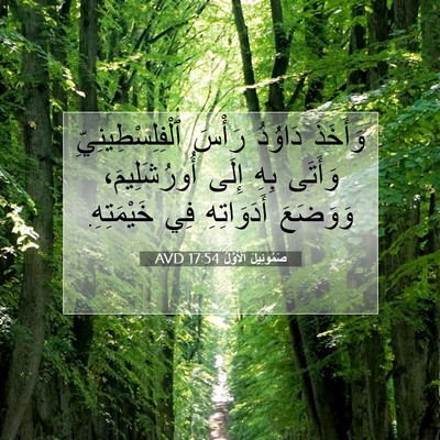 Picture 07 - صَمُوئِيلَ ٱلْأَوَّلُ 17:54 AVD - وَأَخَذَ دَاوُدُ رَأْسَ - Bible Verse Picture