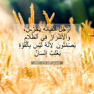 Picture 07 - صَمُوئِيلَ ٱلْأَوَّلُ 2:9 AVD - أَرْجُلَ أَتْقِيَائِهِ - Bible Verse Picture