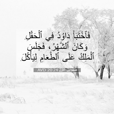 Picture 07 - صَمُوئِيلَ ٱلْأَوَّلُ 20:24 AVD - فَٱخْتَبَأَ دَاوُدُ فِي - Bible Verse Picture