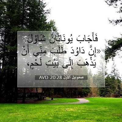 Picture 07 - صَمُوئِيلَ ٱلْأَوَّلُ 20:28 AVD - فَأَجَابَ يُونَاثَانُ - Bible Verse Picture