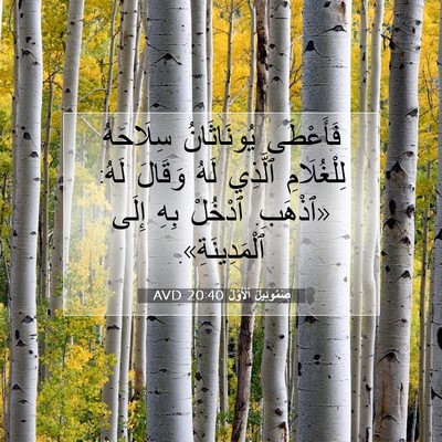Picture 07 - صَمُوئِيلَ ٱلْأَوَّلُ 20:40 AVD - فَأَعْطَى يُونَاثَانُ - Bible Verse Picture