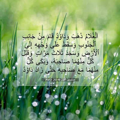 Picture 07 - صَمُوئِيلَ ٱلْأَوَّلُ 20:41 AVD - اَلْغُلَامُ ذَهَبَ - Bible Verse Picture