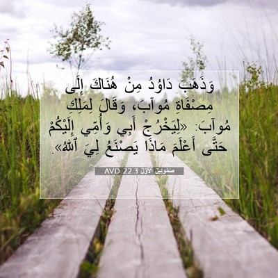 Picture 07 - صَمُوئِيلَ ٱلْأَوَّلُ 22:3 AVD - وَذَهَبَ دَاوُدُ مِنْ - Bible Verse Picture