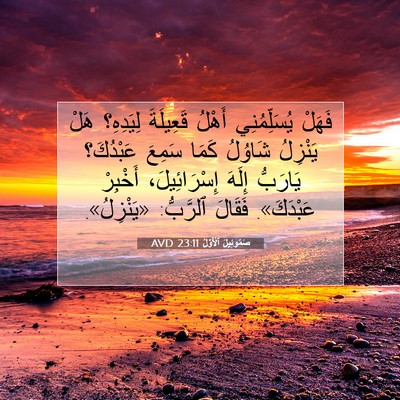 Picture 07 - صَمُوئِيلَ ٱلْأَوَّلُ 23:11 AVD - فَهَلْ يُسَلِّمُنِي - Bible Verse Picture