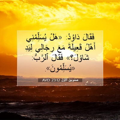 Picture 07 - صَمُوئِيلَ ٱلْأَوَّلُ 23:12 AVD - فَقَالَ دَاوُدُ: «هَلْ - Bible Verse Picture