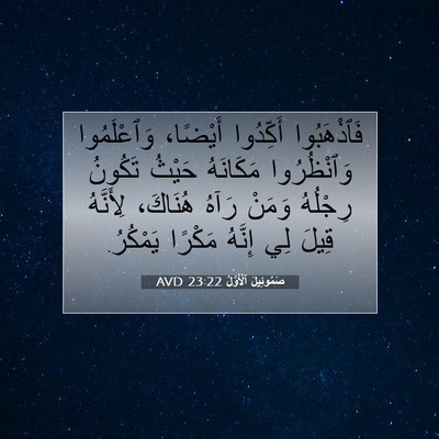 Picture 07 - صَمُوئِيلَ ٱلْأَوَّلُ 23:22 AVD - فَٱذْهَبُوا أَكِّدُوا - Bible Verse Picture