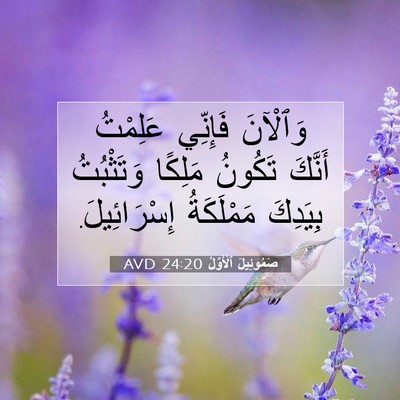 Picture 07 - صَمُوئِيلَ ٱلْأَوَّلُ 24:20 AVD - وَٱلْآنَ فَإِنِّي - Bible Verse Picture
